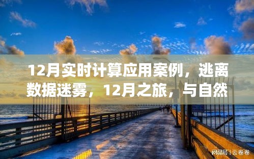 12月實時計算應(yīng)用案例，數(shù)據(jù)迷霧中的逃離之旅與自然美景的實時對話