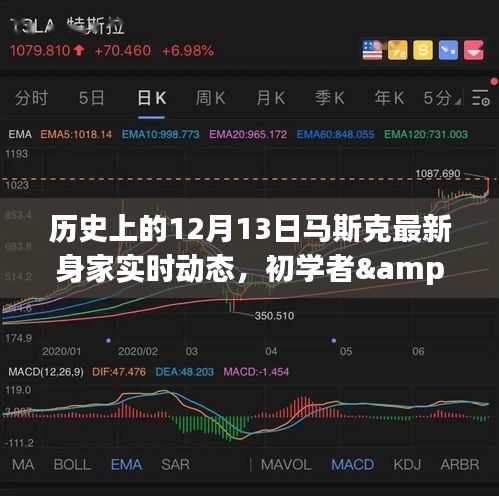 揭秘馬斯克最新身家動(dòng)態(tài)，歷史上的12月13日追蹤詳解與初學(xué)者進(jìn)階指南