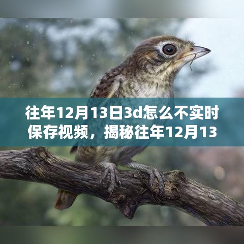 揭秘，為何往年12月13日3D技術(shù)未能實(shí)時(shí)保存視頻的背后真相