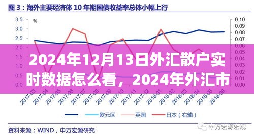 2024年外匯市場散戶實時數(shù)據(jù)解讀指南，如何查看與分析外匯散戶實時數(shù)據(jù)