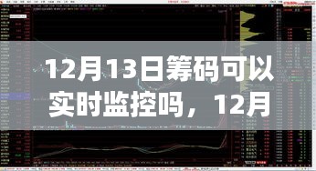 揭秘，12月13日籌碼實(shí)時(shí)監(jiān)控之旅，自然、內(nèi)心與籌碼的交響樂