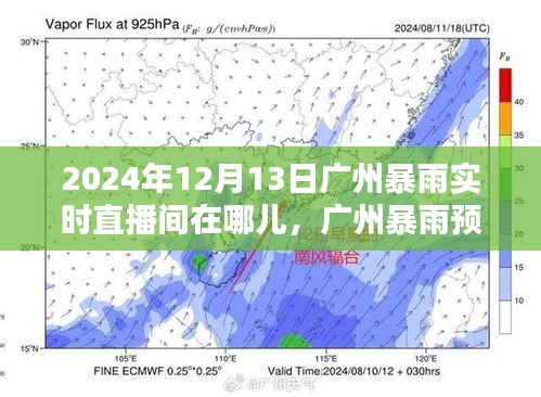 2024年廣州暴雨預(yù)警及實(shí)時(shí)直播間觀看指南