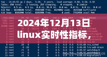 揭秘Linux實時性能新高度，掌握未來技術(shù)趨勢的秘訣（深度解析）