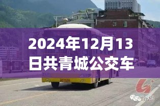 2024年共青城公交車實時查詢指南，輕松出行，無憂旅途