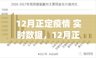 12月正定疫情實(shí)時(shí)數(shù)據(jù)深度分析與解讀