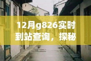 2024年12月14日 第8頁