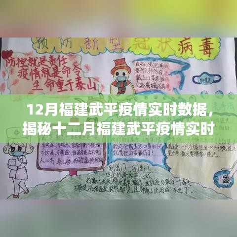 福建武平疫情實時數(shù)據(jù)深度解讀與分析報告