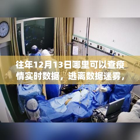 疫情之下的自然之旅，實時數(shù)據(jù)查詢與美景中的內(nèi)心平靜探尋之路