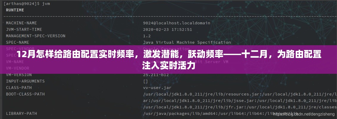 十二月路由配置實(shí)時(shí)優(yōu)化，激發(fā)潛能，躍動(dòng)頻率，注入實(shí)時(shí)活力