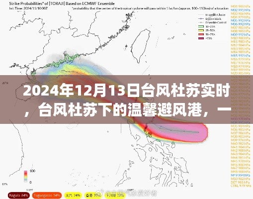 臺風杜蘇下的夏日奇遇，友情避風港實時報道 2024年12月13日