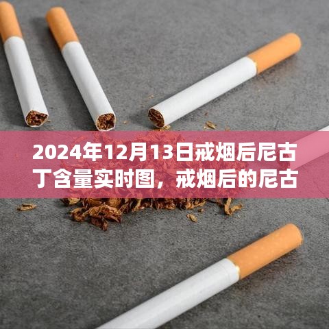 戒煙后尼古丁含量變化深度解讀，實(shí)時(shí)圖揭示戒煙過(guò)程尼古丁含量變化軌跡（圖文詳解）