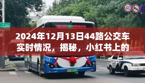 揭秘，小紅書上的2024年12月13日44路公交車實(shí)時(shí)動(dòng)態(tài)播報(bào)