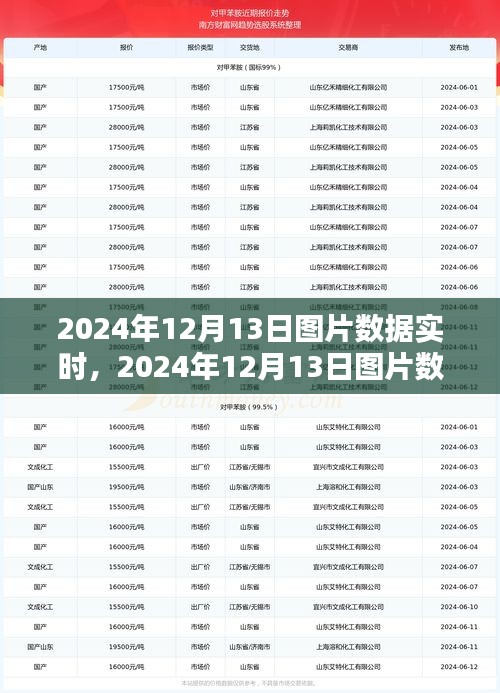 2024年12月13日圖片數(shù)據(jù)實時獲取與處理步驟指南，從初學(xué)者到進階用戶的全面指南