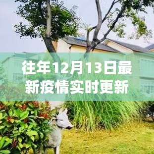 良渚疫情實時更新，科技助力重塑疫情防控新紀(jì)元