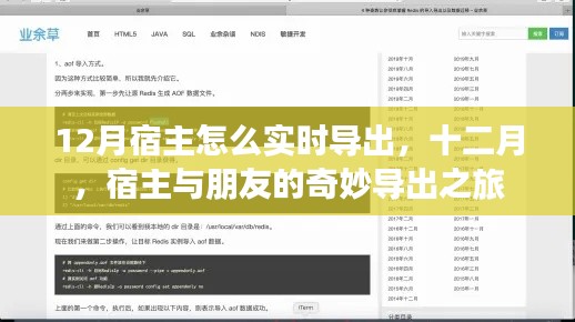 十二月宿主與朋友的奇妙導(dǎo)出之旅，實(shí)時操作指南
