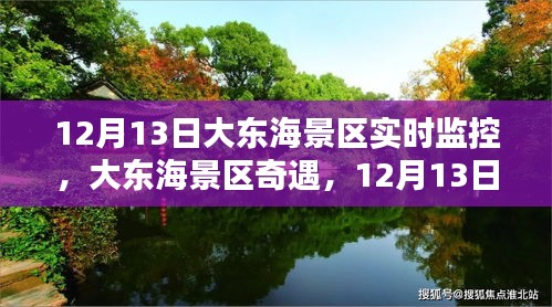 大東海景區(qū)奇遇，12月13日的魔法時光實時監(jiān)控記錄