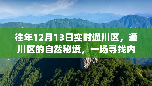 通川區(qū)自然秘境，尋找內(nèi)心平靜的奇妙之旅，12月13日實(shí)時(shí)探索之旅