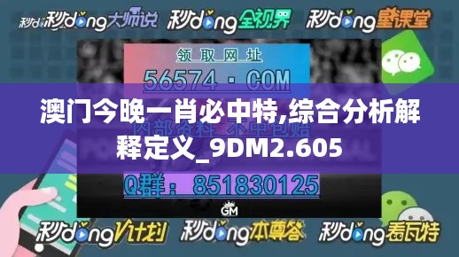 澳門(mén)今晚一肖必中特,綜合分析解釋定義_9DM2.605