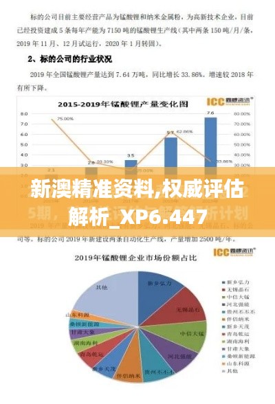 新澳精準資料,權威評估解析_XP6.447