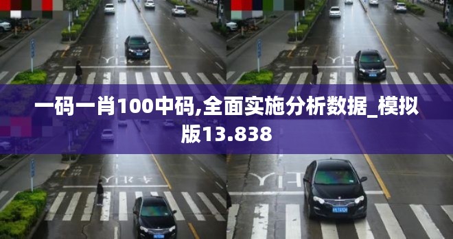 一碼一肖100中碼,全面實施分析數(shù)據(jù)_模擬版13.838