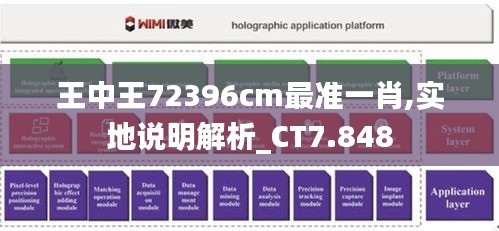 王中王72396cm最準(zhǔn)一肖,實(shí)地說(shuō)明解析_CT7.848