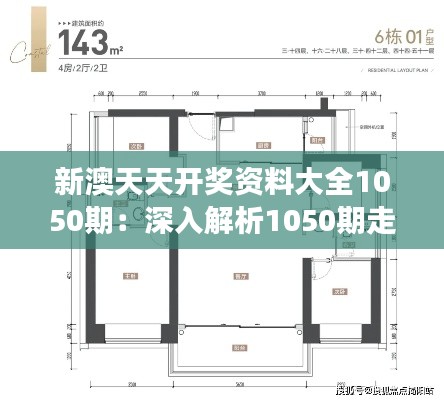 新澳天天開獎資料大全1050期：深入解析1050期走勢的洞察力