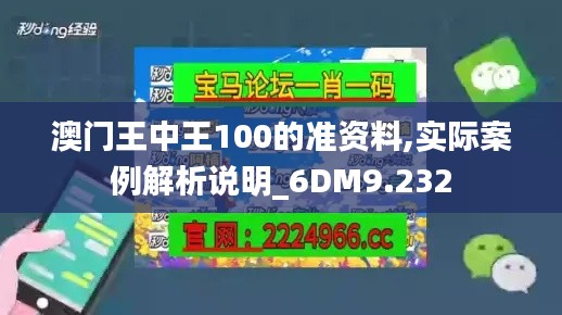 澳門王中王100的準(zhǔn)資料,實(shí)際案例解析說明_6DM9.232