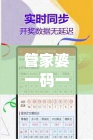 管家婆一碼一肖最準(zhǔn)圖片：深入解析其背后的精準(zhǔn)預(yù)測(cè)邏輯