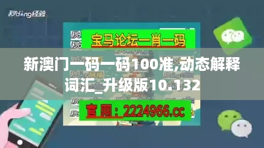 新澳門一碼一碼100準(zhǔn),動(dòng)態(tài)解釋詞匯_升級(jí)版10.132