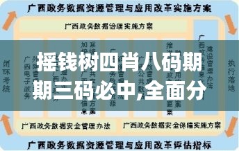 搖錢樹四肖八碼期期三碼必中,全面分析數(shù)據(jù)執(zhí)行_旗艦版3.387