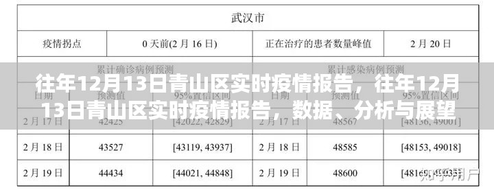 往年12月13日青山區(qū)疫情實(shí)時(shí)報(bào)告，數(shù)據(jù)、分析與未來(lái)展望