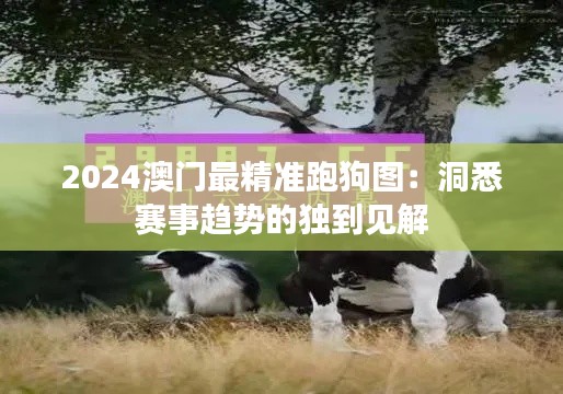 2024澳門最精準(zhǔn)跑狗圖：洞悉賽事趨勢(shì)的獨(dú)到見解