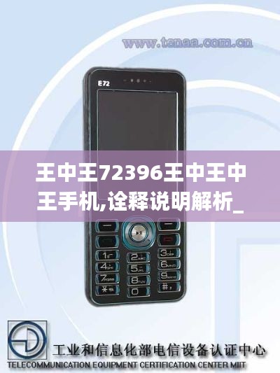 王中王72396王中王中王手機,詮釋說明解析_Elite7.866