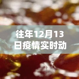 歷年12月13日疫情下的堅守與希望，深度解析實時動態(tài)紀錄片回顧