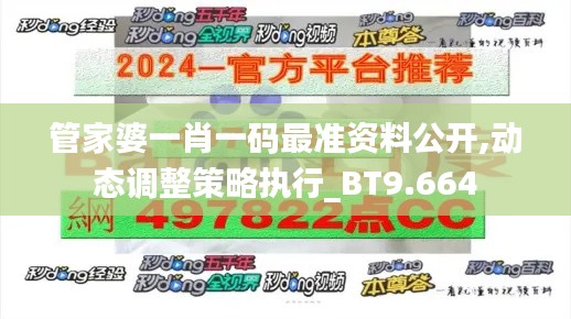 管家婆一肖一碼最準(zhǔn)資料公開,動(dòng)態(tài)調(diào)整策略執(zhí)行_BT9.664