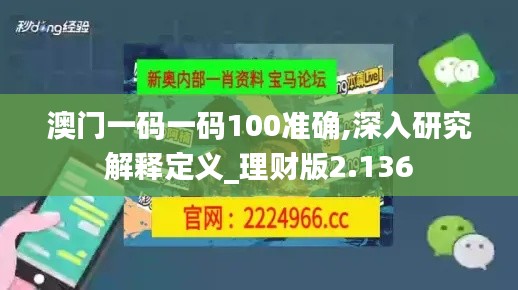 澳門一碼一碼100準(zhǔn)確,深入研究解釋定義_理財(cái)版2.136