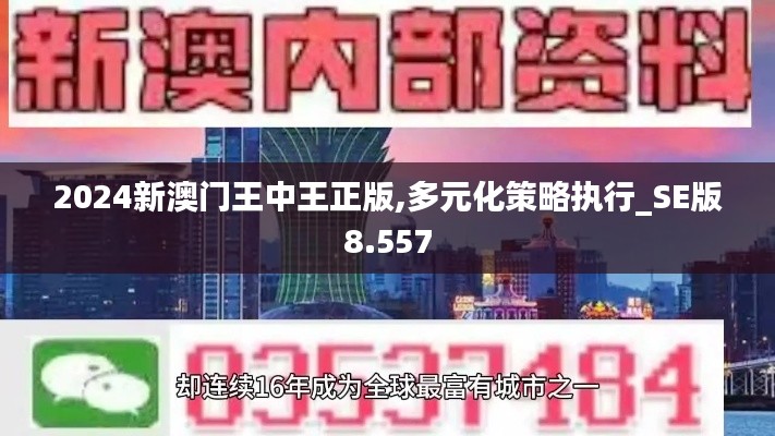 2024新澳門王中王正版,多元化策略執(zhí)行_SE版8.557