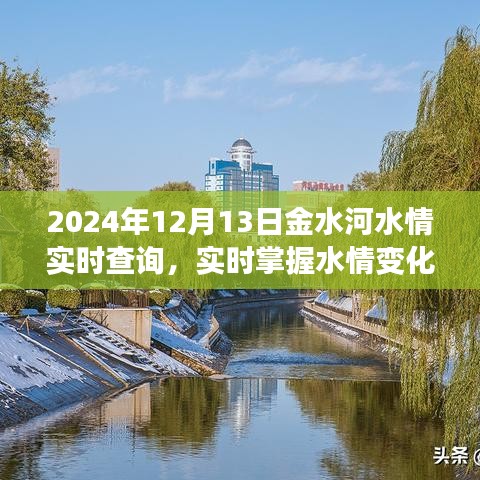 2024年12月13日金水河水情實(shí)時(shí)解析與最新水情掌握