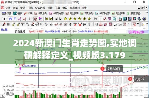 2024新澳門(mén)生肖走勢(shì)圖,實(shí)地調(diào)研解釋定義_視頻版3.179