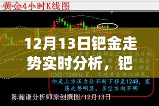 12月13日鈀金走勢實(shí)時(shí)解讀與操作指南，初學(xué)者與進(jìn)階用戶必備