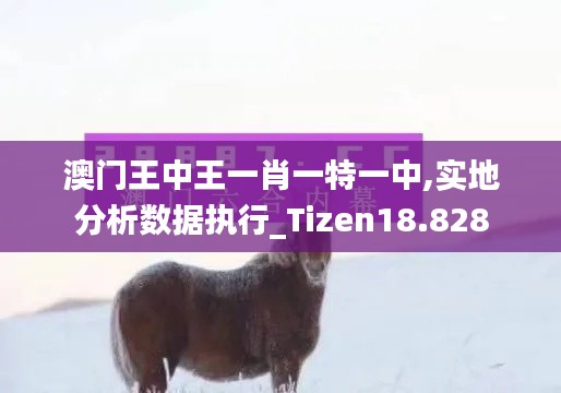 澳門王中王一肖一特一中,實(shí)地分析數(shù)據(jù)執(zhí)行_Tizen18.828