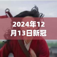 北京新冠肺炎實(shí)時(shí)狀況多元觀點(diǎn)探析（2024年12月13日）