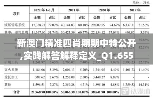 新澳門精準四肖期期中特公開,實踐解答解釋定義_Q1.655