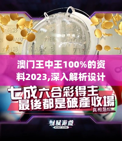 澳門王中王100%的資料2023,深入解析設(shè)計數(shù)據(jù)_VR8.530