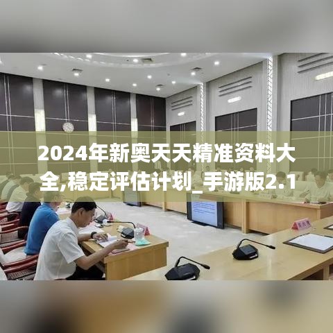 2024年新奧天天精準(zhǔn)資料大全,穩(wěn)定評估計劃_手游版2.138