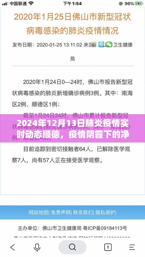 順德疫情動態(tài)與心靈洗滌之旅，探索凈土，直面肺炎疫情的挑戰(zhàn)