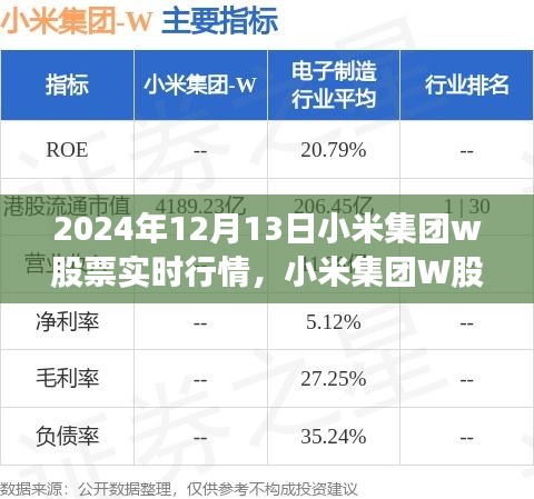 2024年12月13日小米集團(tuán)W股票實(shí)時(shí)行情深度解析，特殊日的股市觀察