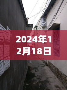 山東寒亭天氣預(yù)報(bào)下的美食驚喜之旅，小巷深處的暖意饗堂探秘