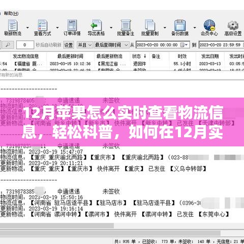 12月蘋果產(chǎn)品物流實時跟蹤指南，輕松科普如何查看物流信息