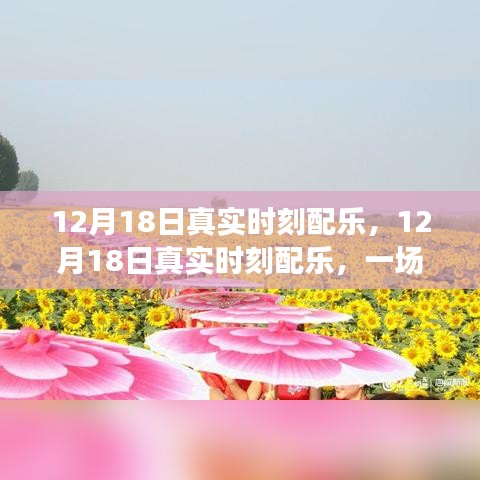 12月18日真實(shí)時(shí)刻配樂(lè)，音樂(lè)的盛宴，情感隨旋律流淌